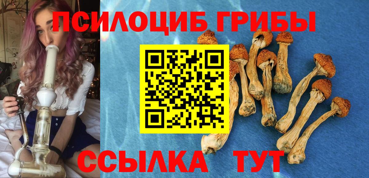 Галлюциногенные грибы Cubensis  Вход с VPN  Киров  Псилоцибиновые грибы Psilocybine cubensis 